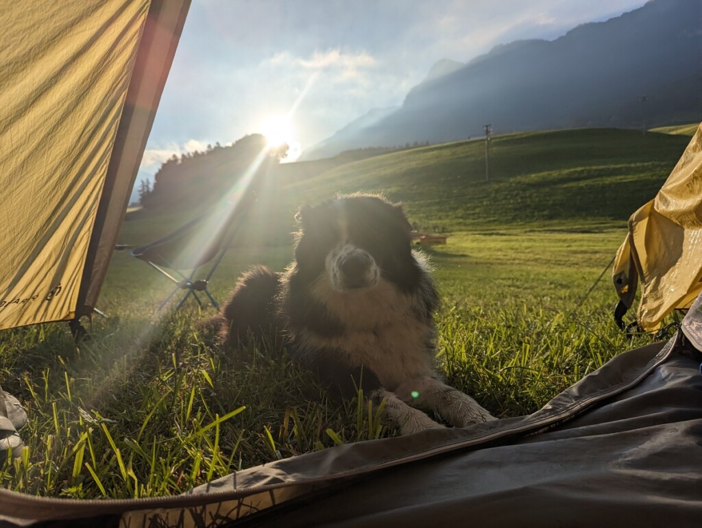 Faire du bivouac en tente avec son chien (Dolomites - Italie)