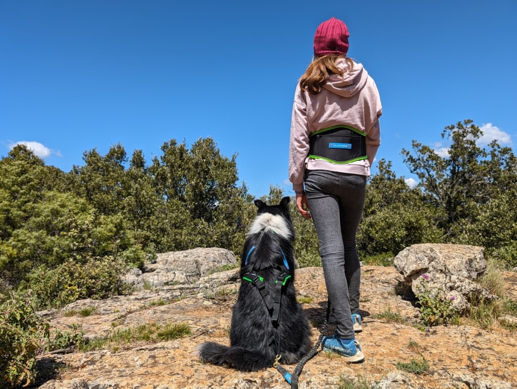 Harnais, longe pour chien et ceinture pour maître : les plaisirs de la cani-randonnée